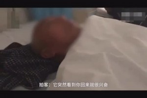 穆西亚拉：我和拜仁在谈续约，我在这里感觉很好