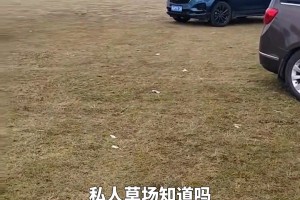 埃尔格拉：维尼修斯不应做争议手势 劳尔-阿森西奥能在皇马打首发